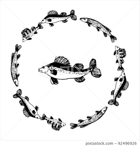 Decorative doodle round wreath of ruff fish Decorative doodle round wreath of ruff fish 92496926