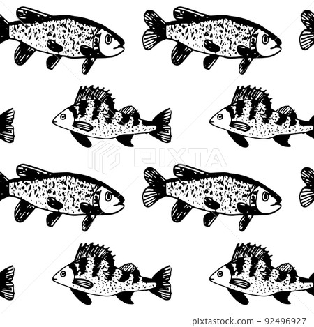 Seamless vector black pattern of ruff fish . Seamless vector black pattern of ruff fish . 92496927