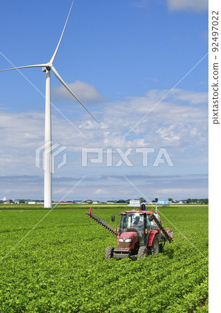 夏季拍攝北海道江差町大豆田控制工作的風景 夏季拍攝北海道江差町大豆田控制工作的風景 92497022