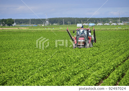 夏季拍攝北海道江差町大豆田控制工作的風景 夏季拍攝北海道江差町大豆田控制工作的風景 92497024