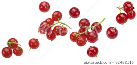 Red currant isolated on white background 92498116