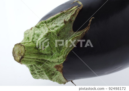 Rice kelp 92498172