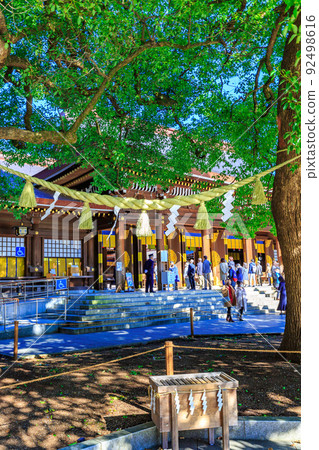 東京澀谷區的明治神宮夫婦楠木和海登 東京澀谷區的明治神宮夫婦楠木和海登 92498616