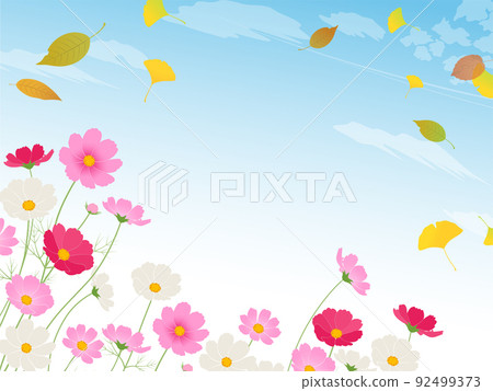 落葉與 cosmos_frame 背景共舞 落葉與 cosmos_frame 背景共舞 92499373