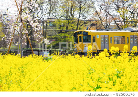 Rape field and Seibu line 92500176