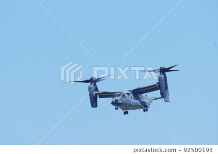 Osprey flying in the blue sky Osprey flying in the blue sky 92500193
