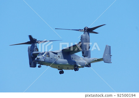 Osprey flying in the blue sky 92500194