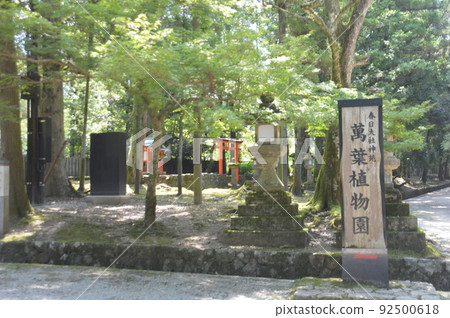 Bandai Botanical Garden 92500618