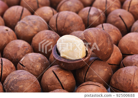 Tasty macadamia nuts             92500688