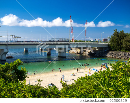 海灘上的海浪 92500829