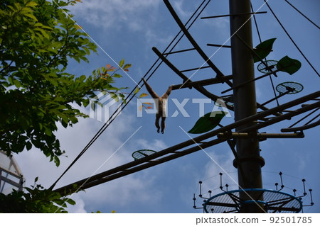 Aerial walk Aerial walk 92501785