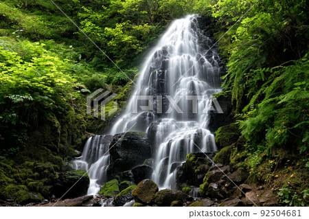 Waterfalls in the Columbia River Gorge 92504681