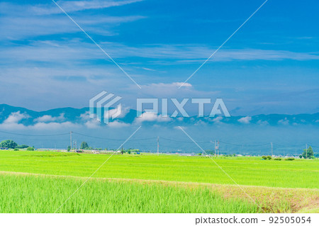 （長野縣）原村廣闊的水田景觀（南阿爾卑斯山後部） 92505054