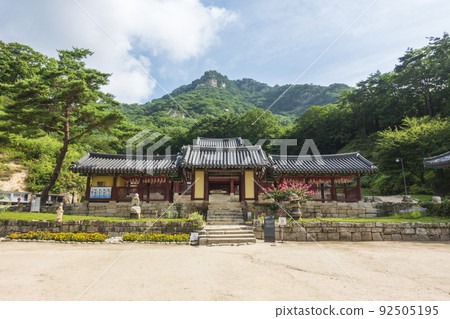 清平 清平 92505195