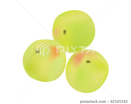 帶有青梅形象的插圖 帶有青梅形象的插圖 92505382