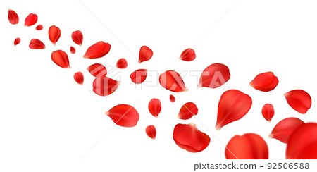 Flying rose petals of red flower blossom. Vector background of realistic rose flower petals falling wave, floral confetti 3d pattern for Valentine, Mother Day card or elegant wedding invitation Flying rose petals of red flower blossom. Vector background of realistic rose flower petals falling wave, floral confetti 3d pattern for Valentine, Mother Day card or elegant wedding invitation 92506588