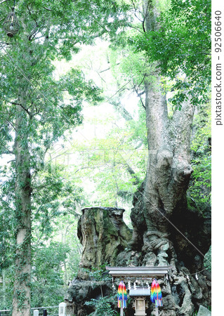 Shoguya Shrine的Oubusi Shoguya Shrine的Oubusi 92506640