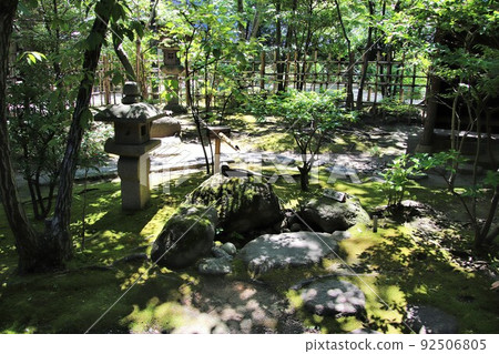 福岡市樂水園的水金地 92506805