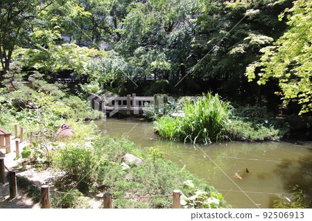 Japanese-style garden scenery of Rakusuien in Fukuoka City Japanese-style garden scenery of Rakusuien in Fukuoka City 92506913