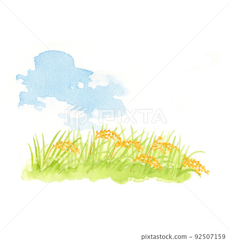 Rice field landscape watercolor illustration Rice field landscape watercolor illustration 92507159