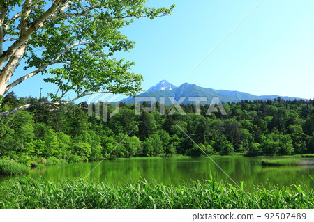 初夏 姬沼 殘雪 利尻山 92507489