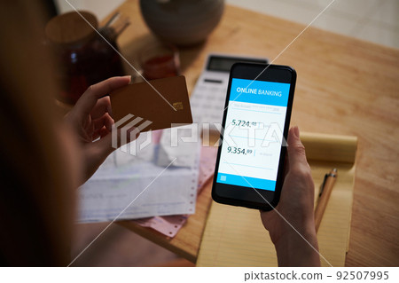 Woman Checking Banking Application Woman Checking Banking Application 92507995