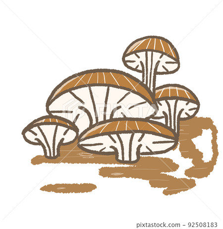 R: More fairy tale mushrooms ☆ Hiratake ② 92508183