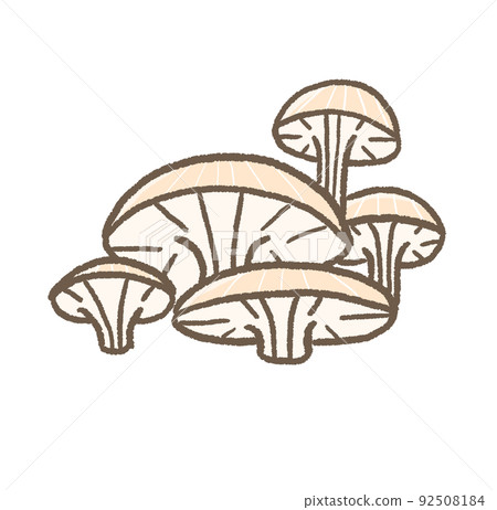 R: More fairy tale mushrooms ☆ Hiratake ③ R: More fairy tale mushrooms ☆ Hiratake ③ 92508184