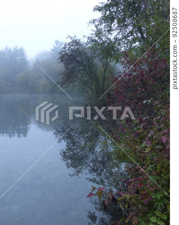 Bike path in forest, Wuermtal in Bavaria, Germany Bike path in forest, Wuermtal in Bavaria, Germany 92508687