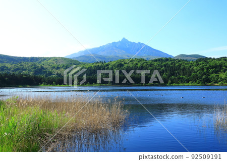 Otatomari Swamp in early summer, Mt. Rishiri with waterfowl and remaining snow 92509191
