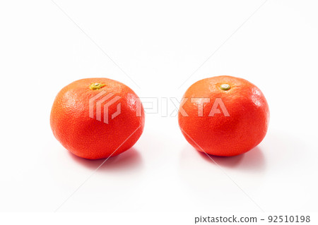 Mandarin orange Ohara Beni Hayao Mandarin orange Ohara Beni Hayao 92510198