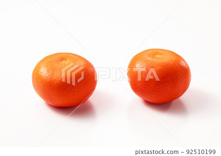 Mandarin orange Ohara Beni Hayao Mandarin orange Ohara Beni Hayao 92510199