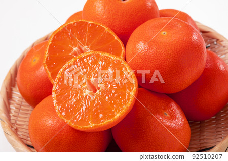 Mandarin orange Ohara Beni Hayao 92510207