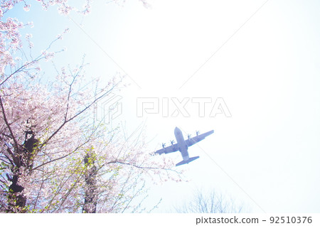 A transport plane flying in the blue sky and cherry blossoms 92510376