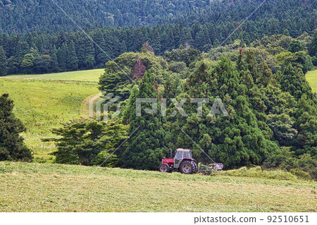 奧越高原牧場 92510651