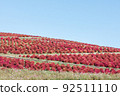 Red Kokia and Cosmos 比賽【日立海濱公園】 92511110