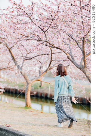 A woman looking at the rows of Kawazu cherry blossoms that bloom along the river A woman looking at the rows of Kawazu cherry blossoms that bloom along the river 92512490