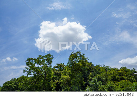 White clouds in the blue summer sky White clouds in the blue summer sky 92513048