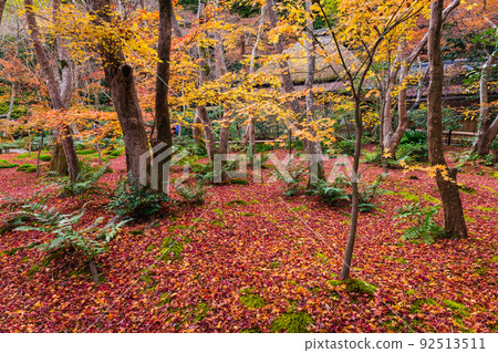 Kyoto in the fall 92513511