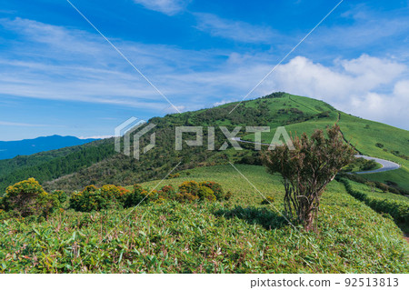 夏季伊豆半島高原徒步路線所見的風景 夏季伊豆半島高原徒步路線所見的風景 92513813