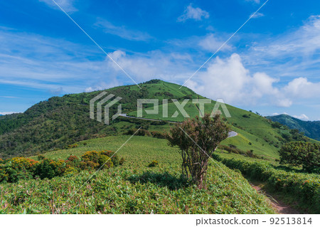 夏季伊豆半島高原徒步路線所見的風景 夏季伊豆半島高原徒步路線所見的風景 92513814
