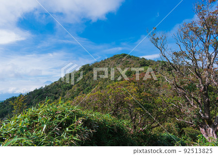 夏季伊豆半島高原徒步路線所見的風景 夏季伊豆半島高原徒步路線所見的風景 92513825