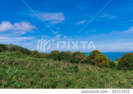 夏季伊豆半島高原徒步路線所見的風景 夏季伊豆半島高原徒步路線所見的風景 92513832