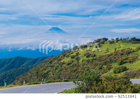 Scenery along the Nishi-Izu Skyline on the Izu Peninsula in summer Scenery along the Nishi-Izu Skyline on the Izu Peninsula in summer 92513841