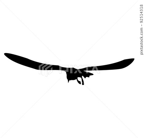 Silhouette flying seagull with spread wings isolated on white. Tern bird. Silhouette flying seagull with spread wings isolated on white. Tern bird. 92514318