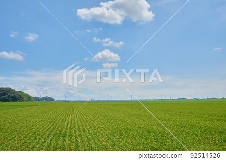Country landscape Summer Country landscape Summer 92514526
