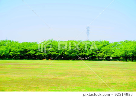 Under the blue sky, the fresh green trees that move in the sunlight Under the blue sky, the fresh green trees that move in the sunlight 92514983