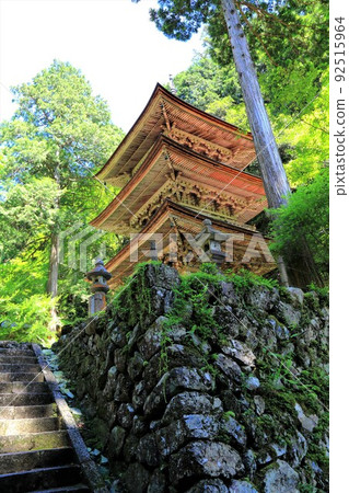Summer walk around Yokokura Temple ・ 17 (Yokokura, Ibigawa-cho, Ibi-gun, Gifu Prefecture) Summer walk around Yokokura Temple ・ 17 (Yokokura, Ibigawa-cho, Ibi-gun, Gifu Prefecture) 92515964