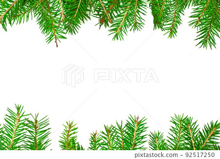 Background from living fir branches for Christmas banners and advertisements. 92517250
