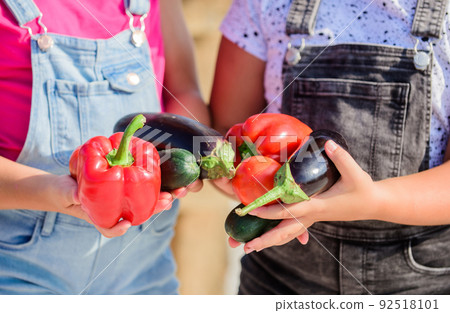 Homegrown organic harvest benefits. Grow organic crops. Community gardens and farms. Healthy lifestyle. Farmers hold peppers eggplants and cucumbers. Farmer presenting organic homegrown vegetables Homegrown organic harvest benefits. Grow organic crops. Community gardens and farms. Healthy lifestyle. Farmers hold peppers eggplants and cucumbers. Farmer presenting organic homegrown vegetables 92518101